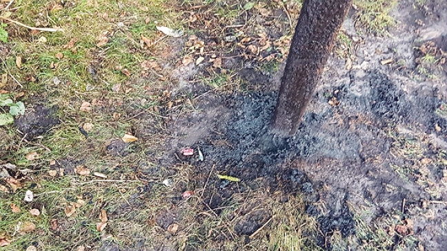 Feuer am Badesee in Steenfelde gelegt