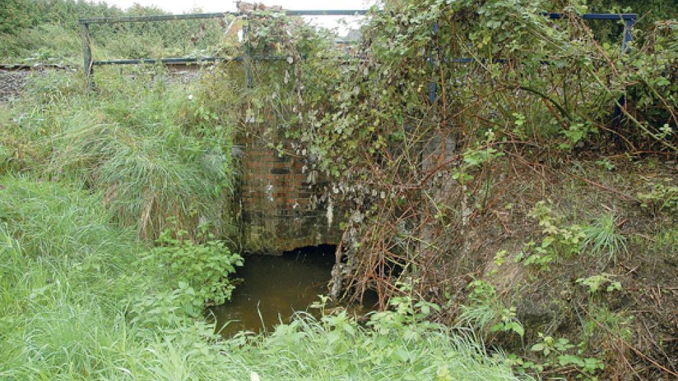 Unter der Bahnstrecke in Bunde verläuft eine Abzweigung des Buschfelder Sieltiefs. Der Durchlass wurde 1927 gebaut und muss dringend saniert werden. © Foto: Szyska