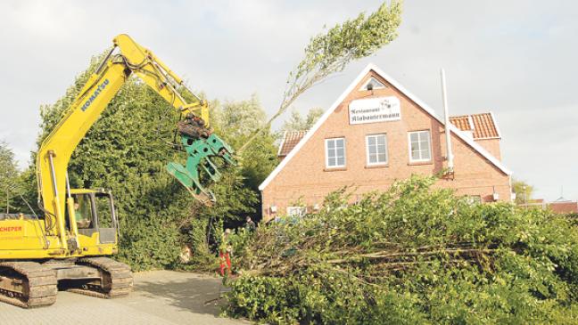 Wildwuchs am Gebäude entfernt