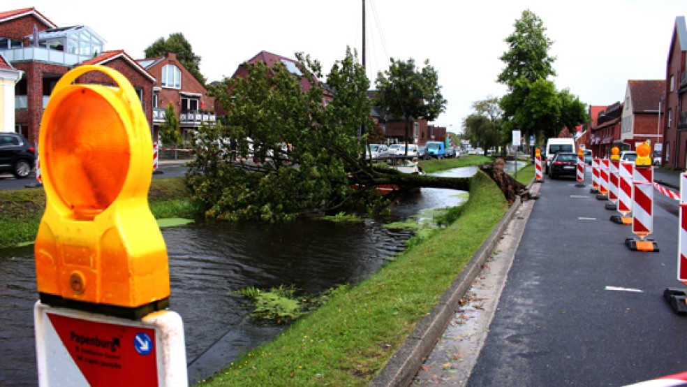 Dieser Baum ist am Hauptkanal in Höhe des Krankenhauses umgestürzt. Der städtische Bauhof hat den Bereich zunächst abgesperrt und will ihn am Donnerstagmorgen zersägen und abfahren. © Foto: Abbas