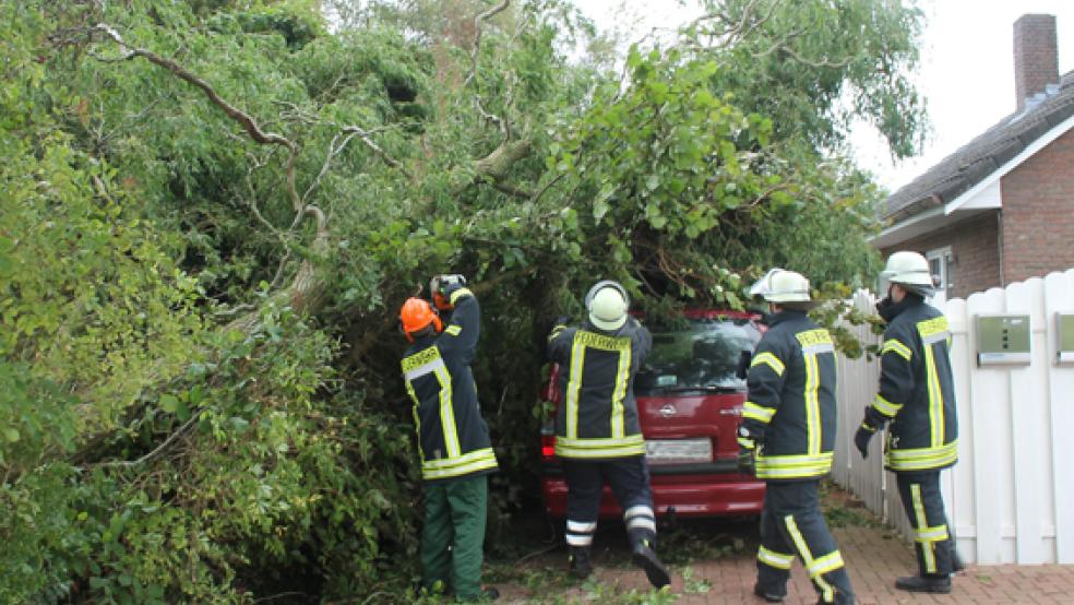 Ein Baum ist heute Nachmittag auf ein Auto in Holthusen gestürzt. © Foto: Rand (Feuerwehr)