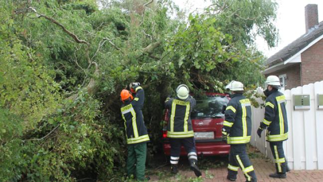 Baum stürzt in Holthusen auf Auto