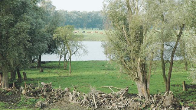 Tidepolder nicht machbar