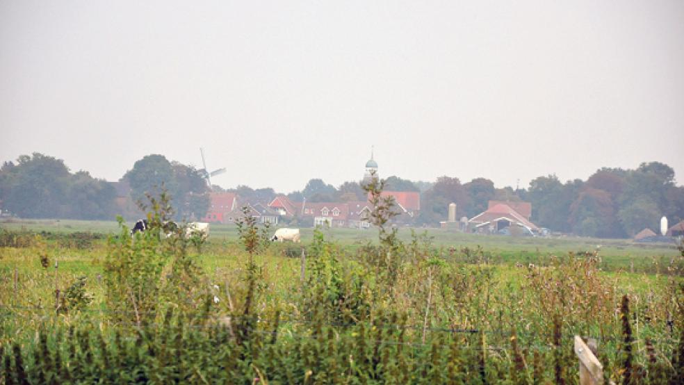 Für die Gemeinde Jemgum soll ein Umweltbericht erstellt werden. Kostenpunkt: 15.000 Euro. © Foto: Boelman