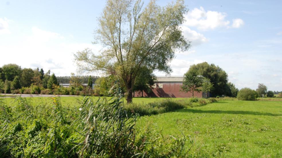 An der Floorenstraße soll eine neue Kindertagesstätte in Weener gebaut werden. Vier Bewerbungen um die Trägerschaft für die Krippe sind bei der Stadt eingegangen. © Foto: Hoegen
