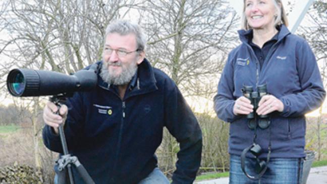 Ausflüge zu den Wildgänsen