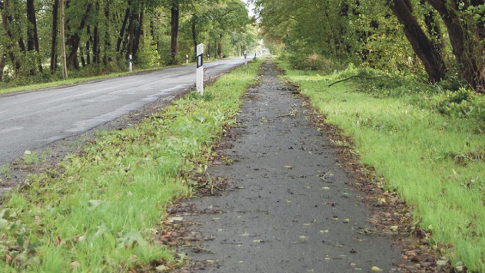 Auch der schlechte Zustand des Radweges in Vellage stieß auf Kritik in der SPD-Ortsereins-Versammlung. © Foto: Hoegen