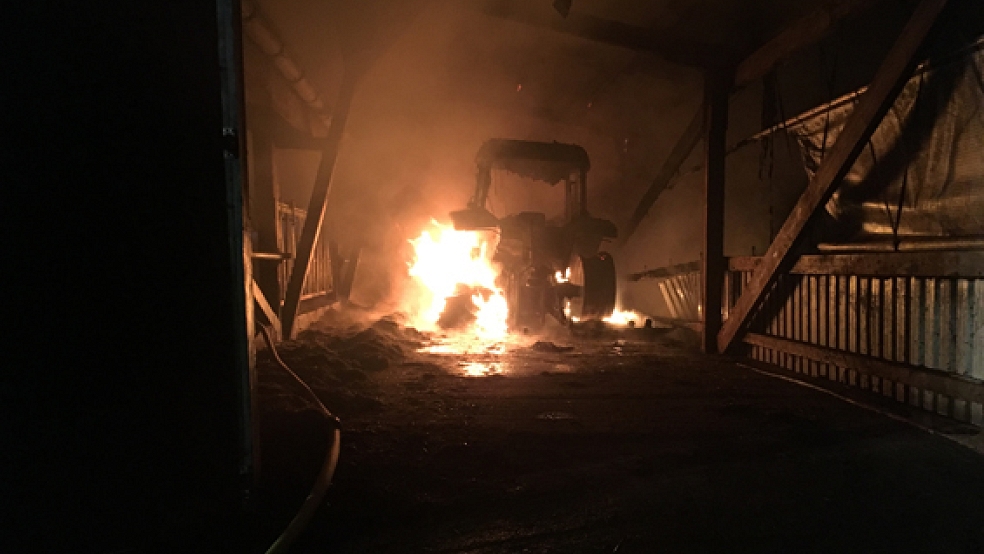Auf einem Bauernhof in Hesel-Neuemoor gab es am Samstagabend ein Feuer. 80 Rinder waren akut in Gefahr. © Foto: Kreisfeuerwehr