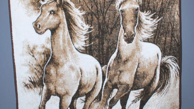 Kind im Karton vor  Pfarrheim  ausgesetzt