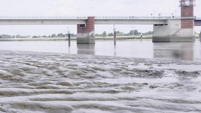 Masterplan »zum Scheitern verurteilt«