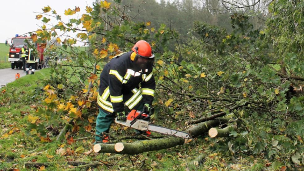Die Feuerwehr Stapelmoor setzte auf der Deichstraße die Kettensäge ein. © Foto: Rand (Feuerwehr)