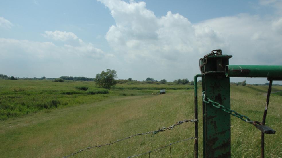 Der geplante Tidepolder in Vellage wird aus Sicht der Geschäftstelle Masterplan Ems 2050 nicht mehr benötigt. © Foto: Szyska