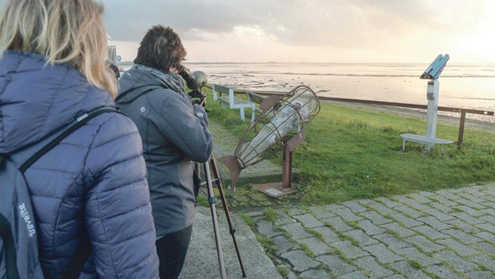Auch zur ehemaligen Bohrinsel nach Dyksterhusen führte die erste Exkursion. © Foto: Ratering