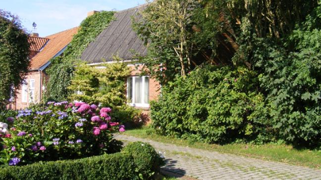 Deichacht hat Haus in Pogum abgerissen