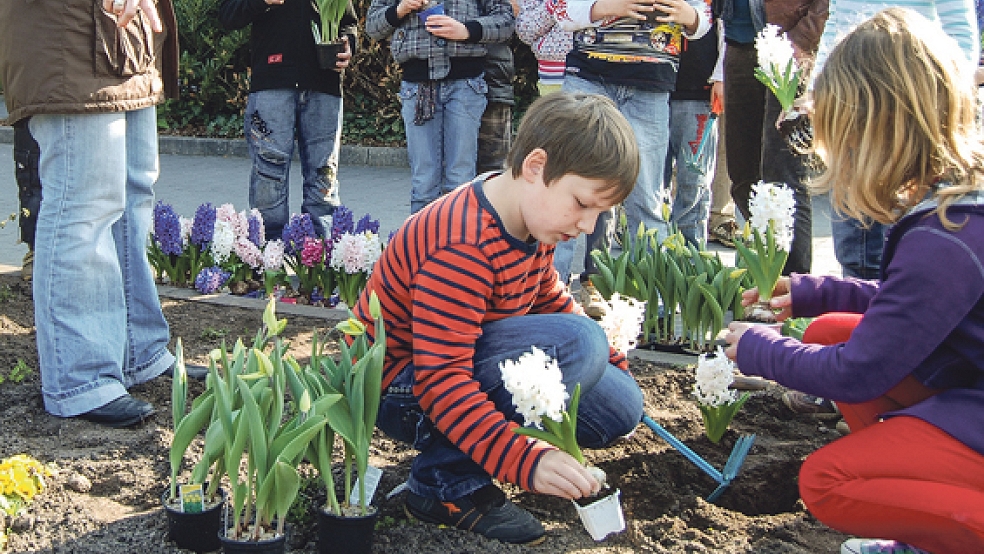Die Kinder der Grundschule Weener pflanzen während des jährlichen Umwelttages auch Blumen. © Artchivfoto: Hoegen