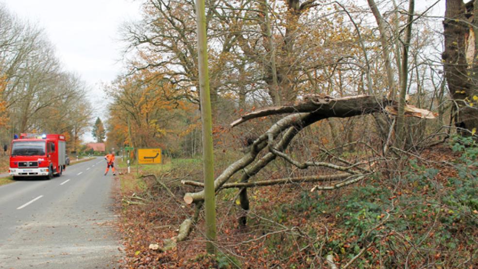 Mit der Motorsäge beseitigte die Feuerwehr den umgestürzten Baum. © Foto: J. Rand (Feuerwehr)