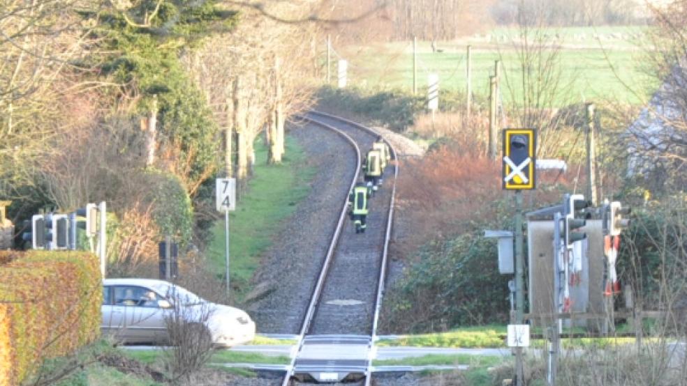 Ein ausgebrochenes Rind ist seit seiner Flucht in Weener auf der Flucht. Auf dem BIld: Die Feuerwehr Weener auf den Bahngleisen an der Süderstraße bei der Suche nach dem Tier. © Boelmann