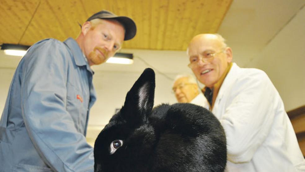 Preisrichter Uwe Mader bewertet die Tiere von Stefan Sinning aus Jemgum.  © Foto: Boelmann