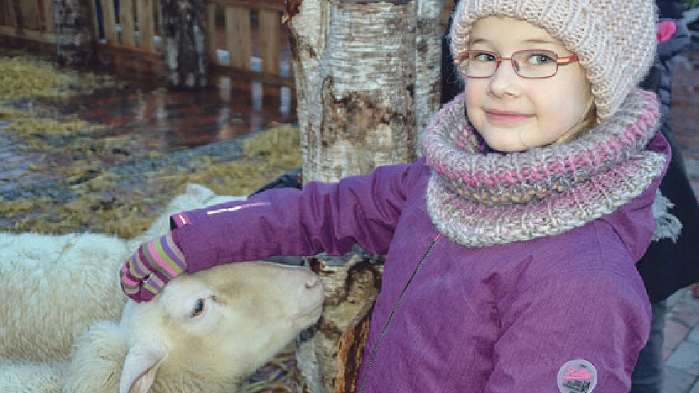 Der Esel blieb lieber etwas im Hintergrund, aber die Schafe in der Weihnachtskrippe genossen die Streicheleinheiten der Kinder, so wie hier von Annika aus Möhlenwarf. © Fotos: Himstedt