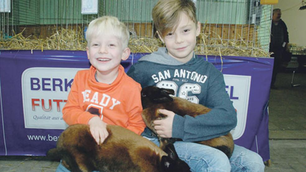 Die Jungzüchter Mateo (links, vier Jahre) und Silvio (acht Jahre) aus Tichelwarf erhielten für diese beiden Häsinnen der Rasse Satin-Thüringer jeweils 97 Punkte (vorzüglich) und Ehrenpreise. © Fotos: Kuper