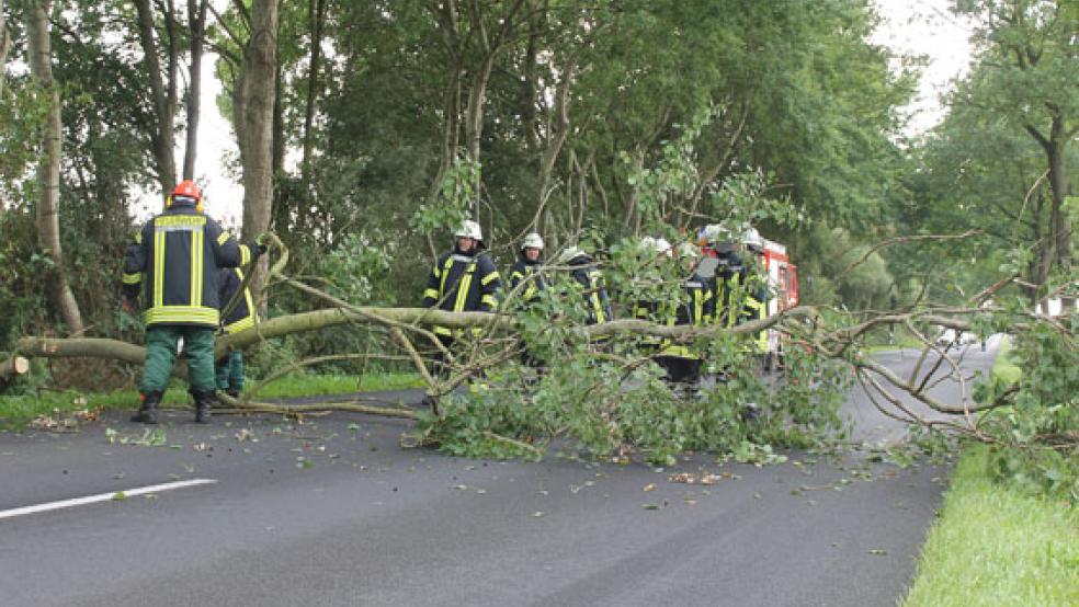 In Stapelmoor musste die Feuerwehr einen abgebrochenen Ast, der auf die Fahrbahn gestürzt war, beseitigen. Bei dem Foto handelt es sich um ein Archivfoto der Rheiderland Zeitung.  © Foto: RZ-Archiv