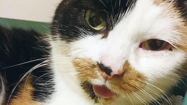 »Magda« sucht ein Zuhause