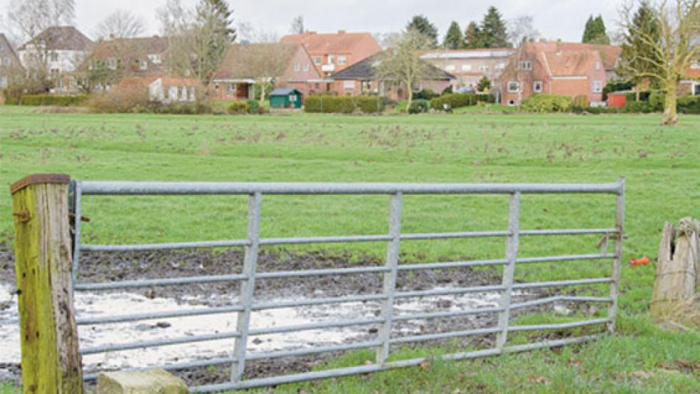 Das Tor zum Tjüchen-Baugebiet wird bald weiter geöffnet: In diesem Gebiet hinter der Boenster Straße (Häuserzeile im Hintergrund) sollen künftig Eigenheime stehen. © Foto: Hanken