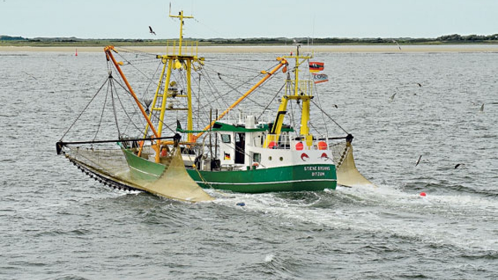 Die Ditzumer Kutter werden gegen Ende Februar wieder zu Fangfahrten in die Nordsee aufbrechen. © Foto: Pixabay