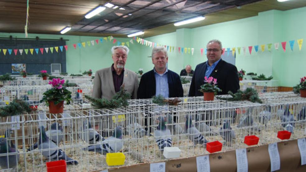 Unser Foto entstand bei der Eröffnung der Taubenausstellung am 12. Dezember 2015 in der Kleintierhalle in Weener: Von links Regionalverbandsvorsitzender Detert Feddinga, Bürgermeister Ludwig Sonnenberg und Winfried Helmerichs, Vorsitzender der Reisevereinigung Leer.  © Archivfoto: Hoegen