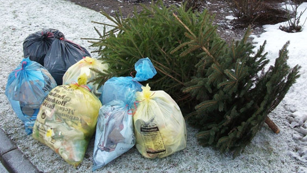 Nur ohne geht es mit: Die Müllwerker sammeln nur Festtannen ein, bei denen Schmuck und Lametta entfernt wurden. © Foto: Landkreis