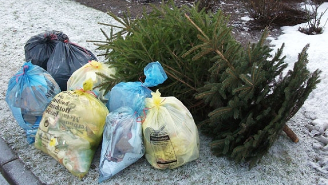 Weihnachtsbäume mit Müll entsorgen