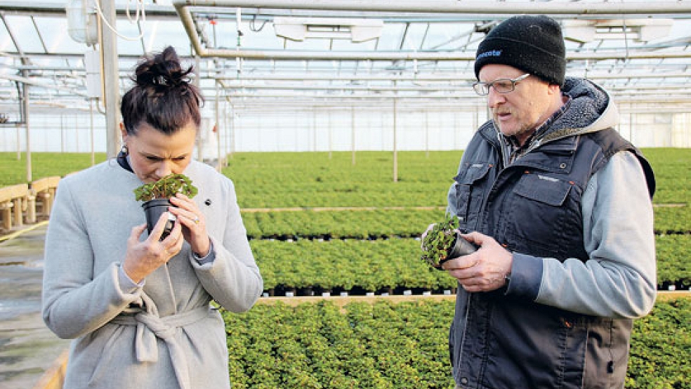 Der Geruch des Glücks? Matthias Christoph (rechts) zeigte der CDU-Bundestagsabgeordneten Gitta Connemann den Glücksklee in seinem Gartenbaubetrieb. © Foto: privat