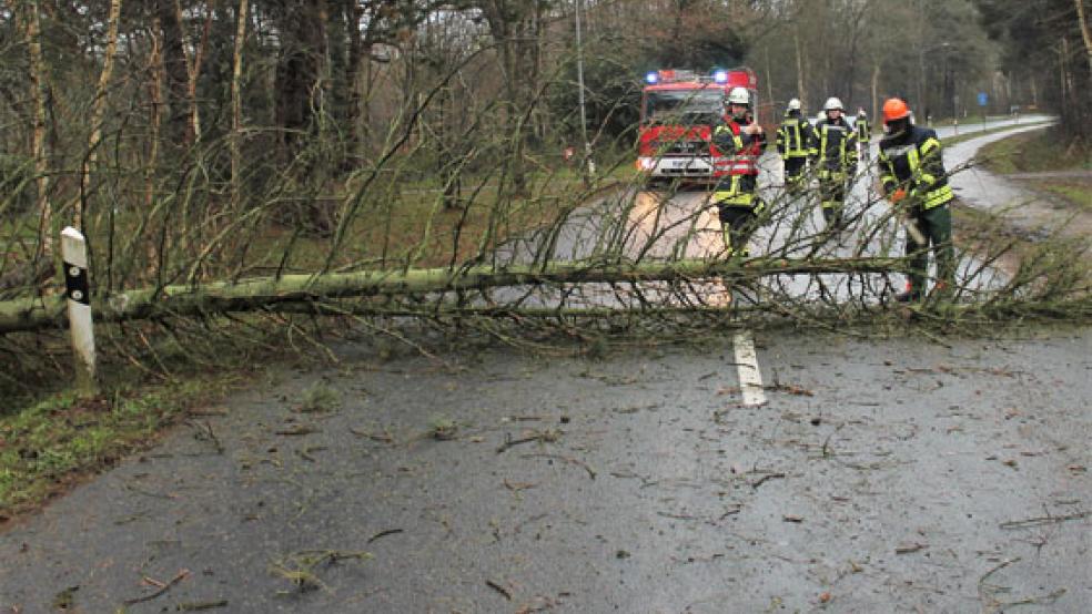 Der umgestürzte Baum blockierte die Oedenfelderstraße in Holthuserheide. © Foto: J. Rand (Feuerwehr)
