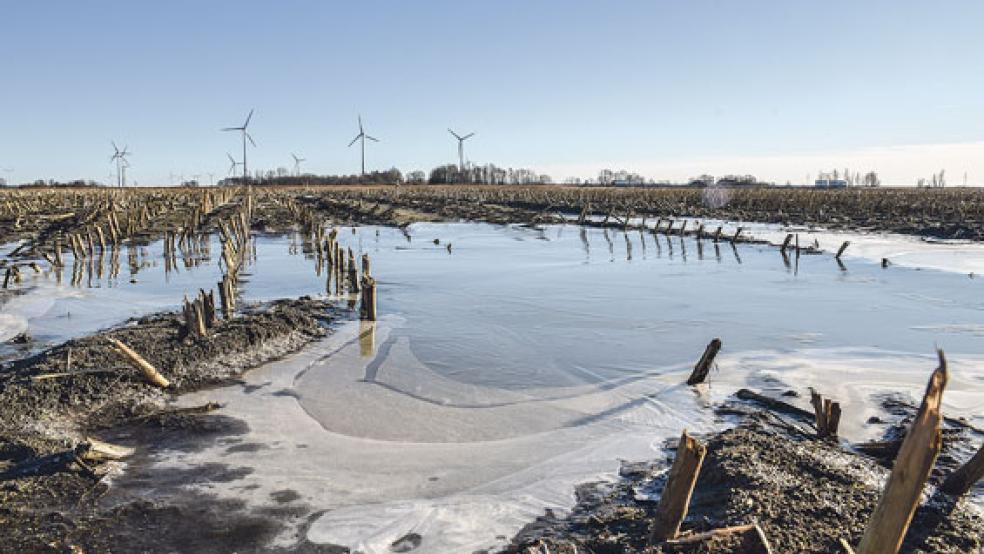 Die Äcker und Weiden sind noch immer so nass, dass die Bauern kaum auf ihre Ländereien kommen. © Foto: Klose