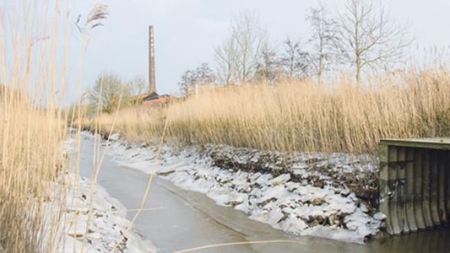 Partnersuche geht weiter