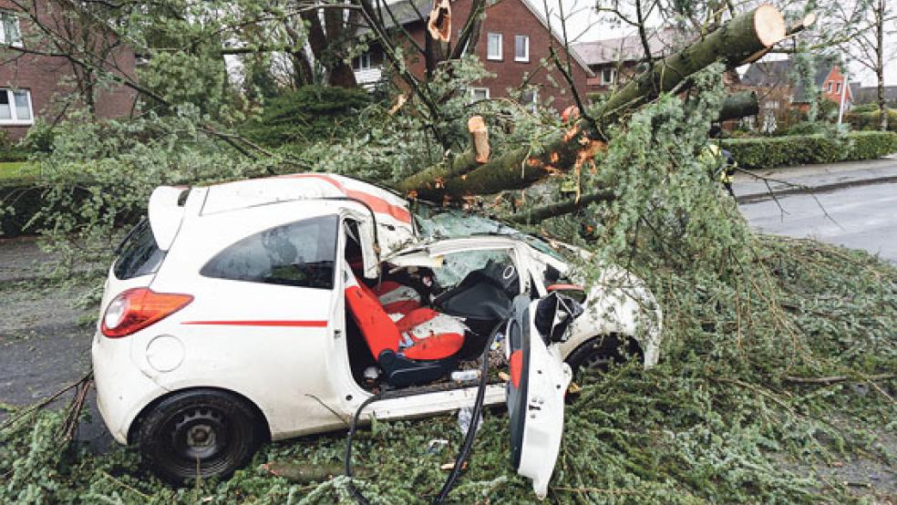 Kaum zu glauben: Nur leichte Blessuren trug die Fahrerin dieses Wagens auf der Bokeler Straße in Aschendorf davon. Ein herabstürzender Ast hatte das Auto zerstört. © Foto: Moormann