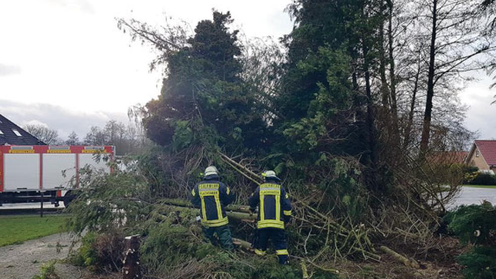 »Friederike« fegte Donnerstag über das Land. Im Landkreis Leer mussten die Feuerwehren sieben Mal ausrücken.  © Foto: Kreisfeuerwehr