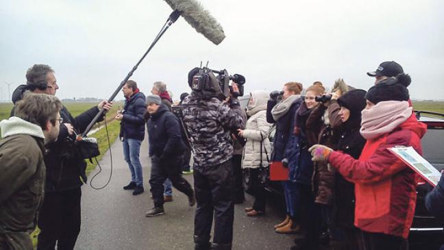 Mit der Kamera auf Gänsejagd