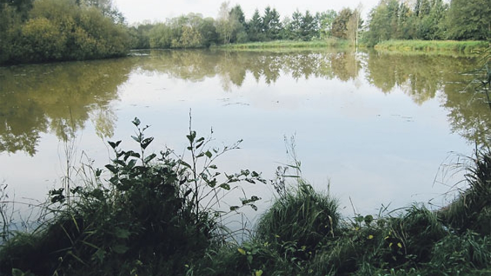 In Vellage soll ein neues Naturschutzgebiet ausgewiesen werden.  © Foto: Landkreis Leer 