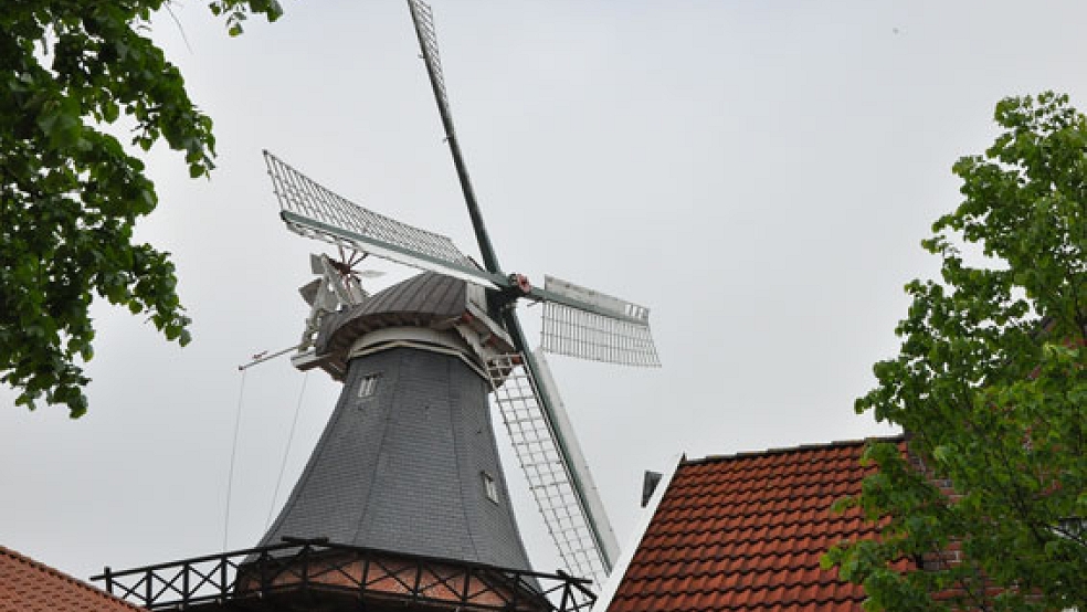 Nach der einjährigen Ausbildung können die freiwilligen Müller eine historische Windmühle fach- und sachgerecht betreuen und betreiben.  © Foto: RZ-Archiv