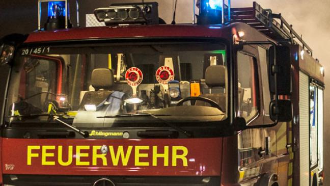Hecke mitten in der Nacht in Flammen