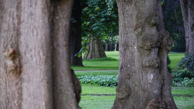 Grüne Paten im Evenburg-Park