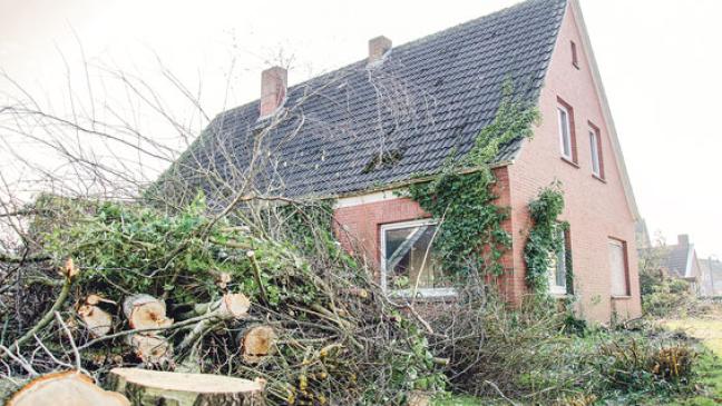 Säge kreist fürs Familienzentrum
