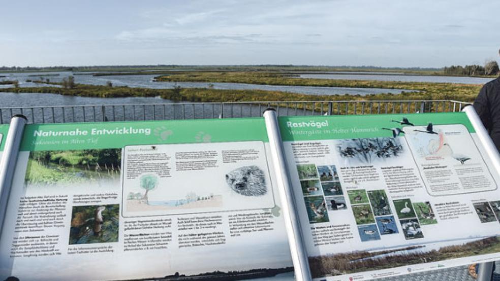 Ähnlich wie der Polder »Holter Hammrich« im Leda-Jümme-Gebiet (Foto) soll der Tidepolder in Coldemüntje durch Aussichtspunkte, einen Rundwanderweg und eine Beschilderung für die Bevölkerung erlebbar gemacht werden. Bei den Bauarbeiten drohen aber Probleme wie Lkw-Fahrten durch die Deichdörfer. © Foto: Geschäftsstelle Masterplan Ems