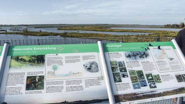 Doch Abtransport von Aushub per Lkw