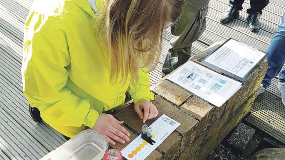 Zum Start der Aktion fanden am Leeraner Hafen erste Messungen statt. © Foto: BUND