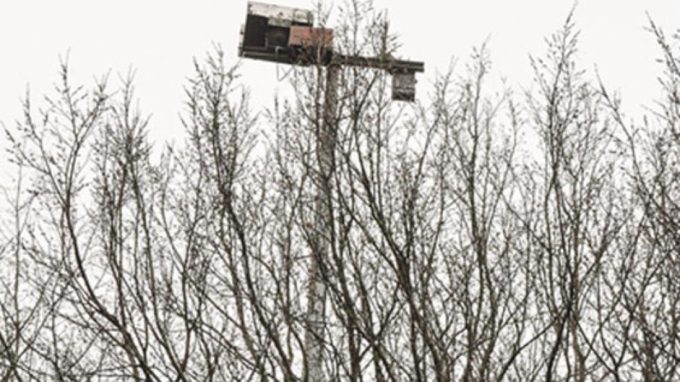 Der Lichtmast auf dem Sportplatz in Holthusen und der Birken-Streifen. Ein kleines Problem sorgt beim TuS für großen ­Unmut. © Foto: Boelmann