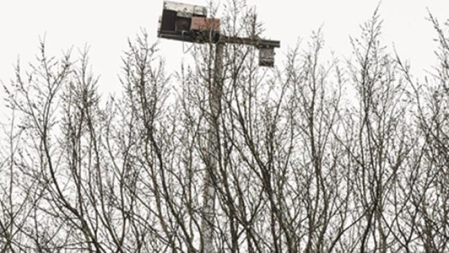 Verwirrung statt Erleuchtung