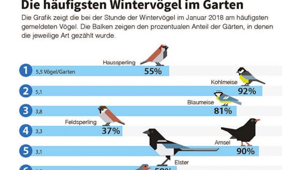 Mehr als 970 Vogelfreunde haben sich in Ostfriesland an der Aktion »Stunde der Wintervögel« beteiligt und Zählungen aus über 670 Gärten übermittelt.  © Foto: Naturschutzbund
