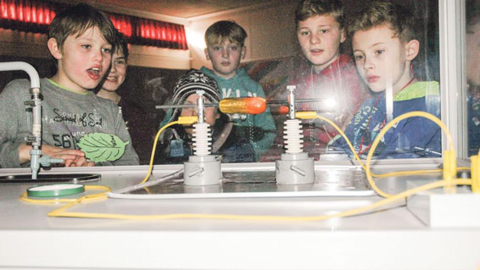 In einem Experiment brachte Physiklehrer Klaas Weber eine Gewürzgurke zum Glühen. Weil die Gurke einen hohen Salzgehalt aufweist, kann Strom hindurch fließen. © Foto: Szyska